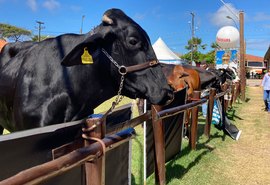 Expoagro 2021 fatura R$ 20 milhões e bate recorde