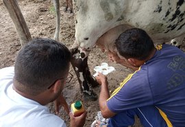 CPLA promove palestra para produtores de leite na Expo Bacia