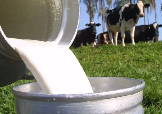 Nordeste apresenta 1,81% de crescimento na produção de leite entre 2018 e 2021