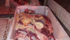 Carga de carne transportada sem refrigeração é apreendida na AL-101 Norte