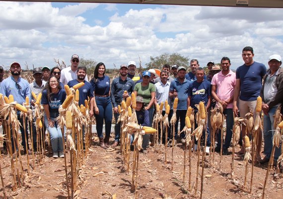 Dia de campo mostra resultados de produtor da CPLA com uso de biotecnologia do Prospera
