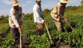 Balanço Social: Tecnologias sustentáveis evoluem em Sergipe e Alagoas