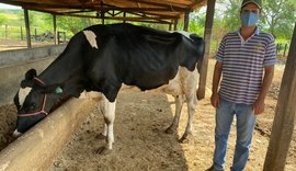 Agricultores se preparam para disputar Super Torneio Leiteiro