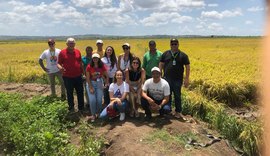 Visita técnica avalia arroz da agricultura familiar