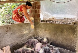Primeira parcela do programa Fomento Rural é paga a agricultores familiares a partir de terça-feira