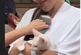 VÍDEO: Mulher defende gato que foi agredido com chute no Pará