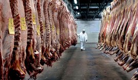 Mês de outubro: carne bovina tem queda de 43% nas exportações e 31% na receita