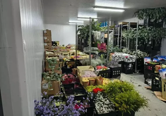 Sefaz apreende R$ 100 mil em flores sem nota fiscal em Alagoas