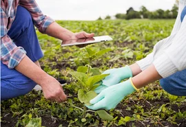 Pesquisa revela que profissionais do agro tiveram aumento salarial em 2022
