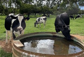 Embrapa lança livro sobre manejo hídrico eficiente e sustentável na pecuária