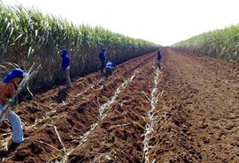 Pindorama inicia preparo do solo visando plantio de inverno