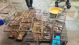 Polícia resgata 89 aves silvestres durante operação no interior de AL