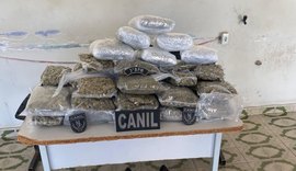Polícia apreende mais de 10 kg de maconha dentro de ônibus em Arapiraca