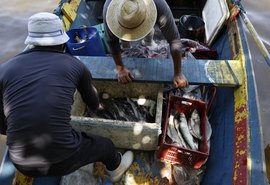Pescadores beneficiados pelo seguro-defeso recebem 6º lote nesta terça-feira