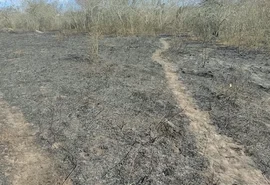Incêndio é registrado na área da aldeia Kariri-Xocó, em Alagoas