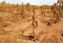 Impacto da seca na safra 21/22 de soja foi de R$ 72 bilhões