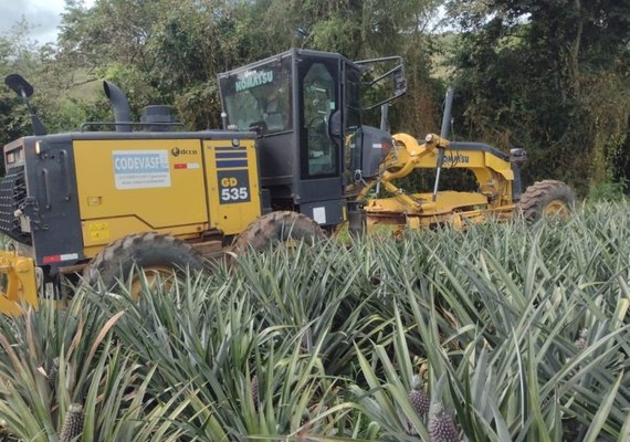 Programa Caminho da Roça garante geração de renda e melhoria na produção rural
