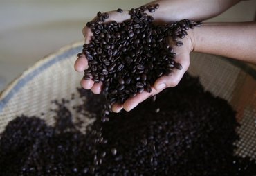 Café abre em alta após forte queda, mas safra limita reação