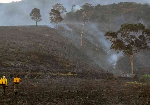 Área de preservação da Estação Ecológica de Murici é atingida por incêndio