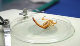 Pesquisa da Ufal mostra impacto das internações por animais peçonhentos no Brasil