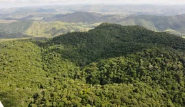 Alagoas reduz desmatamento em 68,4% em 2025