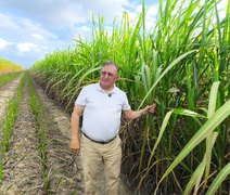 Fazenda Santo Antônio revoluciona o cultivo de cana com plantio direto em Alagoas