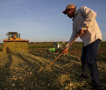 Pesquisa aponta que 15,8% dos produtores rurais estavam inadimplentes