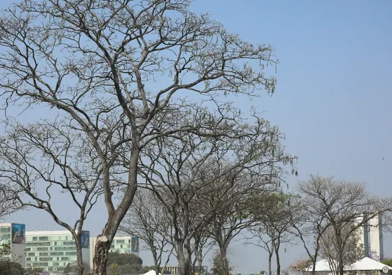 Brasília atinge recorde histórico de seca nesta sexta-feira