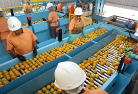 Empresas afetadas por tarifaço podem pedir crédito do Brasil Soberano