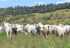 Criadores reforçam sucesso da Expoagro 2018