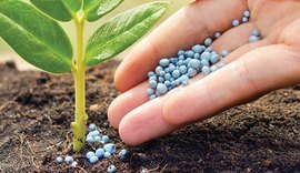Fertilizantes com microplásticos devem ser proibidos, diz grupo