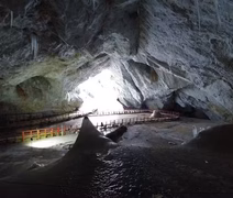Bactéria congelada há milênios apresenta resistência a medicamentos modernos