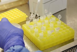 G-20 diz que novo coronavírus é risco para economia global