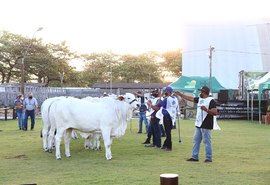 Expoagro 2020 deve bater recorde em negócios