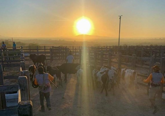 Produtores rurais comemoram retorno da Feira do Gado