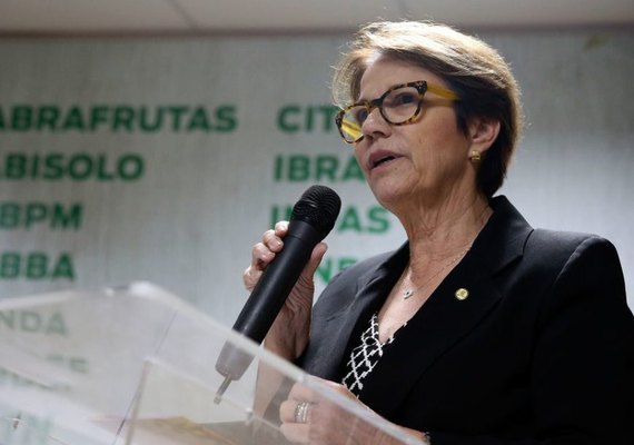 Ministra da Agricultura garante que não há falta de alimentos