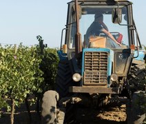 Sistema OCB apresenta propostas para fortalecer o cooperativismo no Brasil
