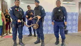 Cobra de 2 metros é encontrada dentro de escola no interior de Alagoas