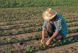 Crédito rural tem aumento de 16% no primeiro mês da safra 2021/2022