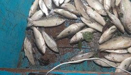 Mortandade de peixes acende alerta ambiental na Lagoa Jequiá