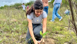 Plantio no Sertão marca Dia da Caatinga e mobiliza estudantes