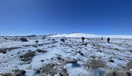Pegada de mamífero predador de 55 milhões de anos é descoberta na Antártica