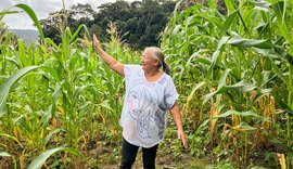 Agricultora comemora colheita de milho verde com sementes doadas pelo Planta Alagoas