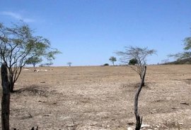 Ouro Branco tem situação de emergência reconhecida devido à estiagem