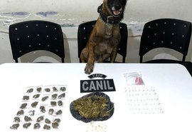 Polícia Militar apreende armas de fogo e drogas em cidades do interior de Alagoas