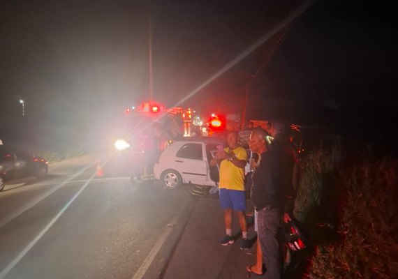 Cães permanecem ao lado de donos durante resgate em grave acidente na AL-413