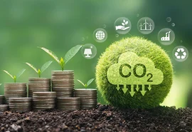 Mercado de carbono: como as cooperativas fazem parte dessa estratégia climática?