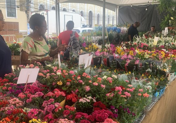 Feira de Flores de Holambra chega a Maceió com catálogo diversificado
