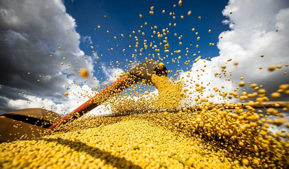 CNA inicia encontros regionais para reunir propostas ao Plano Safra