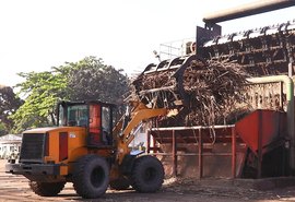 Chuvas podem elevar quantidade de cana processada na safra 21/22